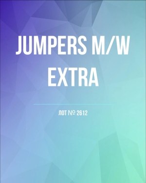 Купить Джемпер муж+жен экстра#15 кг , Лот№2612 оптом в Владимире и Владимирской области