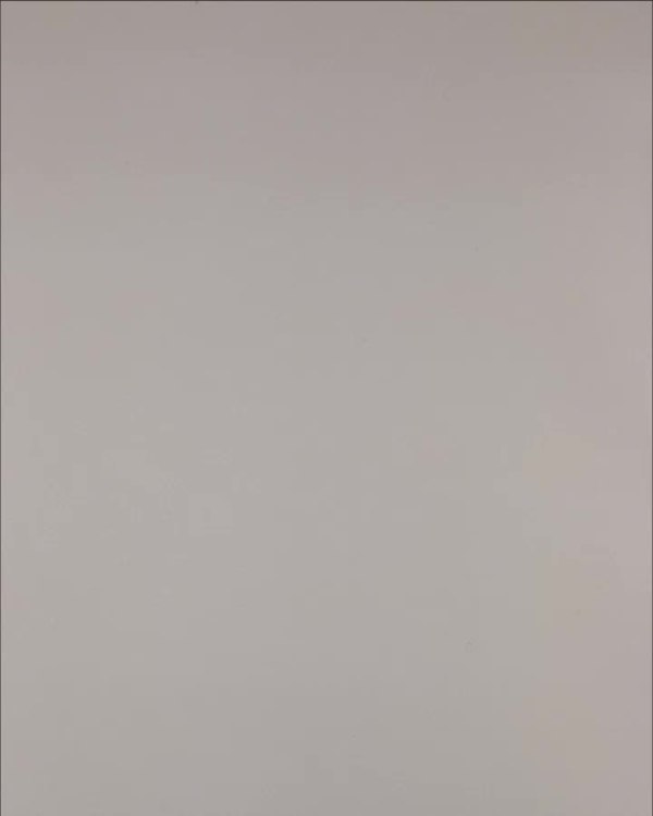 Фотография  253 - Нижнее белье Bon Prix дети#50 шт, ЛОТ №3242 оптом в Владимире и Владимирской области