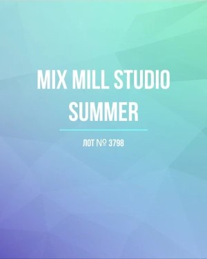 Купить MILL STUDIO Summer mix#15 кг, ЛОТ №3798 оптом в Владимире и Владимирской области