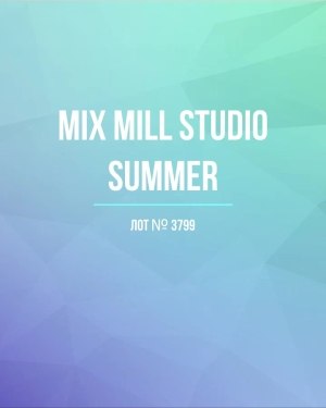 Купить MILL STUDIO Summer mix#15 кг, ЛОТ №3799 оптом в Владимире и Владимирской области