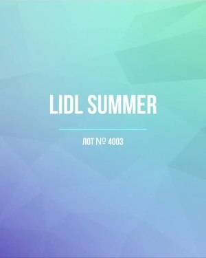 Купить LIDL Summer#20 кг, ЛОТ №4003 оптом в Владимире и Владимирской области