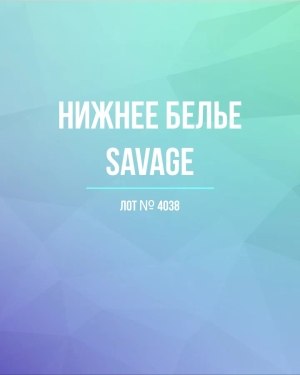 Купить Нижнее белье Savage#50 шт, ЛОТ №4038 оптом в Владимире и Владимирской области