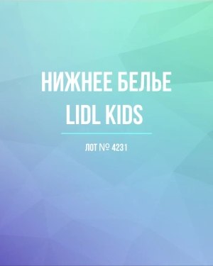 Купить Нижнее белье LIDL Kids#5 кг, ЛОТ №4231 оптом в Владимире и Владимирской области