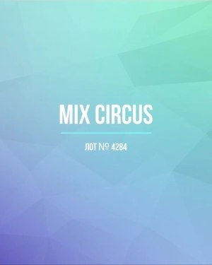 Купить CIRCUS mix #11,8 кг, ЛОТ №4284 оптом в Владимире и Владимирской области