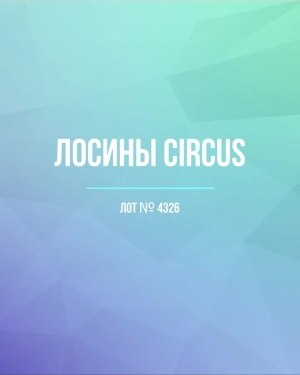 Купить Лосины CIRCUS #6,2 кг, ЛОТ №4326 оптом в Владимире и Владимирской области