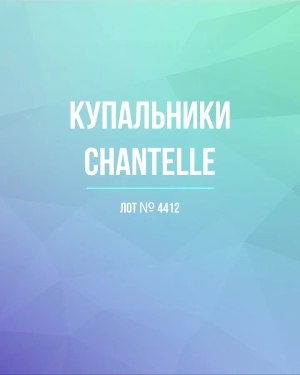 Купить Купальники Chantelle#23 шт, ЛОТ №4412 оптом в Владимире и Владимирской области