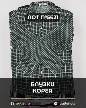 Купить Блузки Корея#20 шт, ЛОТ №5621 оптом в Владимире и Владимирской области