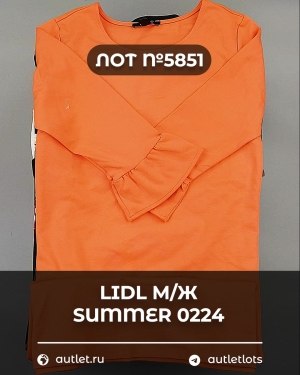 Купить LIDL Summer м/ж 022024#14 кг, ЛОТ №5851 оптом в Владимире и Владимирской области