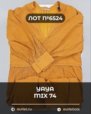 Купить YA YA 062024#39 шт, ЛОТ №6524 оптом в Владимире и Владимирской области