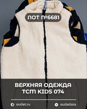Купить Верхняя одежда TCM kids 074#7 кг, ЛОТ №6681 оптом в Владимире и Владимирской области