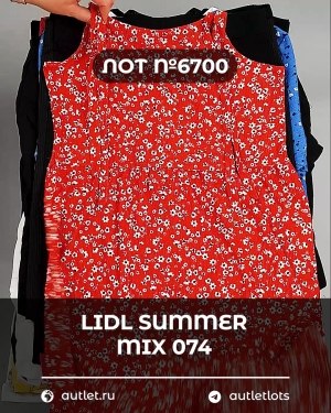 Купить LIDL Summer mix 074#15 кг, ЛОТ №6700 оптом в Владимире и Владимирской области