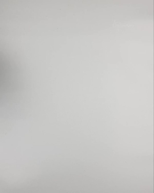 Фотография  355 - Верхняя одежда Дания#10,2 кг ЛОТ №6911 оптом в Владимире и Владимирской области