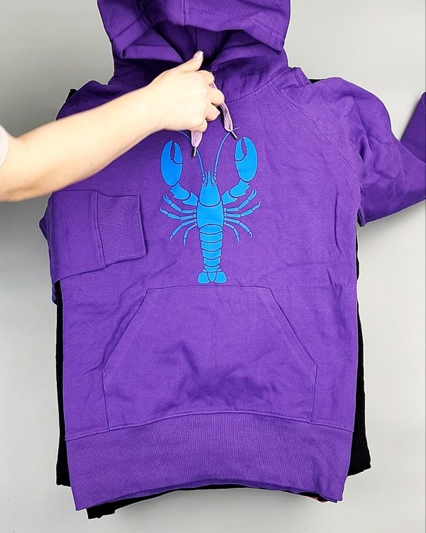 Фотография  264 - Толстовки м/ж (Sweat Tops)#20 кг, ЛОТ №7431 оптом в Владимире и Владимирской области