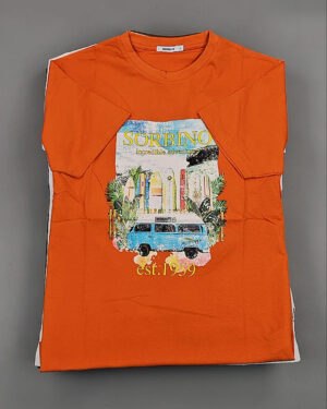 Купить Футболки мужские C-3141 (MEN T-shirt Sorbino) #4,8 кг оптом в Владимире и Владимирской области