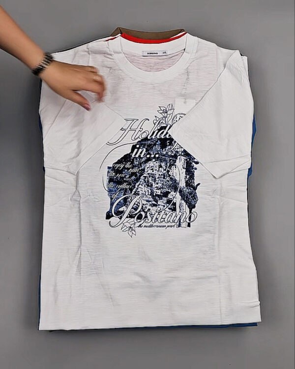 Фотография  935 - Футболки мужские C-3141 (MEN T-shirt Sorbino) #4,8 кг оптом в Владимире и Владимирской области