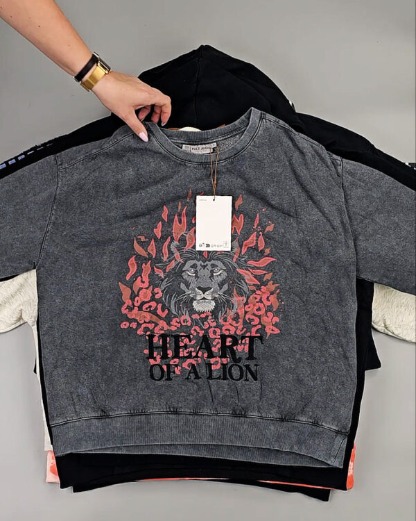 Фотография  582 - Толстовки Bestseller+DK 035#7 кг, ЛОТ СТ-9839 оптом в Владимире и Владимирской области